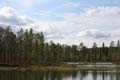 FinnFoto_279231