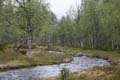FinnFoto_279393