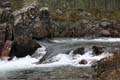 FinnFoto_279426