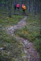 FinnFoto_279454