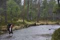 FinnFoto_279488