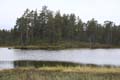 FinnFoto_279510