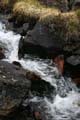FinnFoto_279528