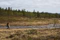 FinnFoto_279694