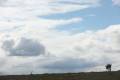 FinnFoto_420989