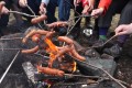 FinnFoto_421162