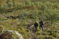 FinnFoto_421182