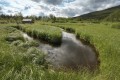 FinnFoto_421380