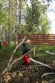 FinnFoto_421581