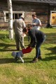 FinnFoto_421869
