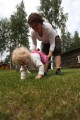 FinnFoto_421896