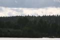 FinnFoto_269350